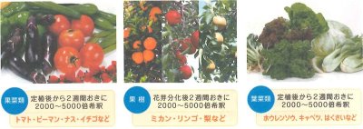 画像1: ウルトラCa    1リットル